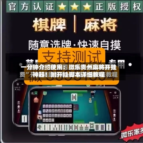 一分钟介绍使用：微乐贵州麻将开挂神器！附开挂脚本详细教程-第1张图片