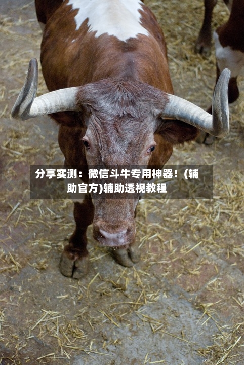 分享实测:微信斗牛专用神器!(辅助官方)辅助透视教程-第1张图片
