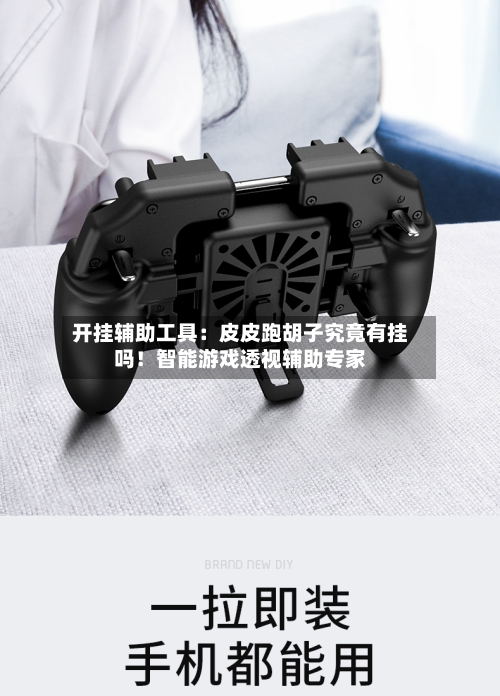 开挂辅助工具：皮皮跑胡子究竟有挂吗！智能游戏透视辅助专家-第1张图片