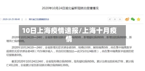 10日上海疫情速报/上海十月疫情-第1张图片