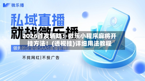 2026首发辅助：微乐小程序麻将开挂方法！(透视挂)详细用法教程-第2张图片