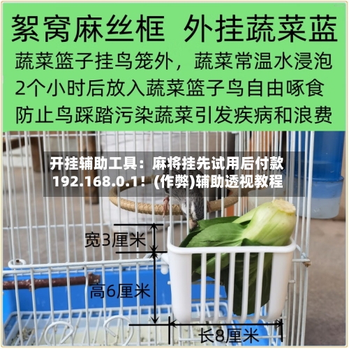开挂辅助工具：麻将挂先试用后付款192.168.0.1！(作弊)辅助透视教程-第1张图片