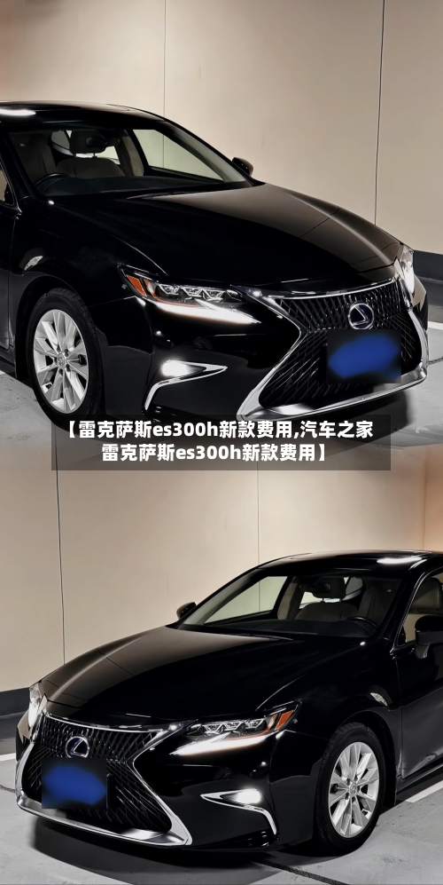 【雷克萨斯es300h新款费用,汽车之家雷克萨斯es300h新款费用】-第1张图片