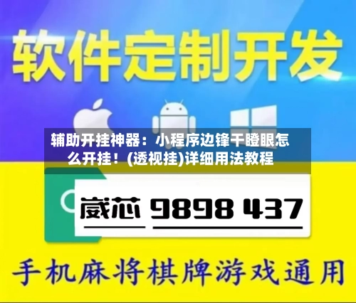 辅助开挂神器：小程序边锋干瞪眼怎么开挂！(透视挂)详细用法教程-第2张图片