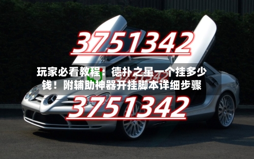 玩家必看教程：德扑之星一个挂多少钱！附辅助神器开挂脚本详细步骤-第2张图片